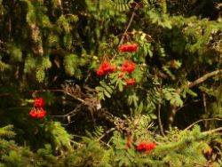 2013-09-22_Bleispitze (055).JPG